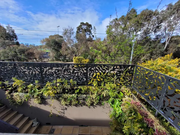 Ficus panels along the edge of a garden terrace.