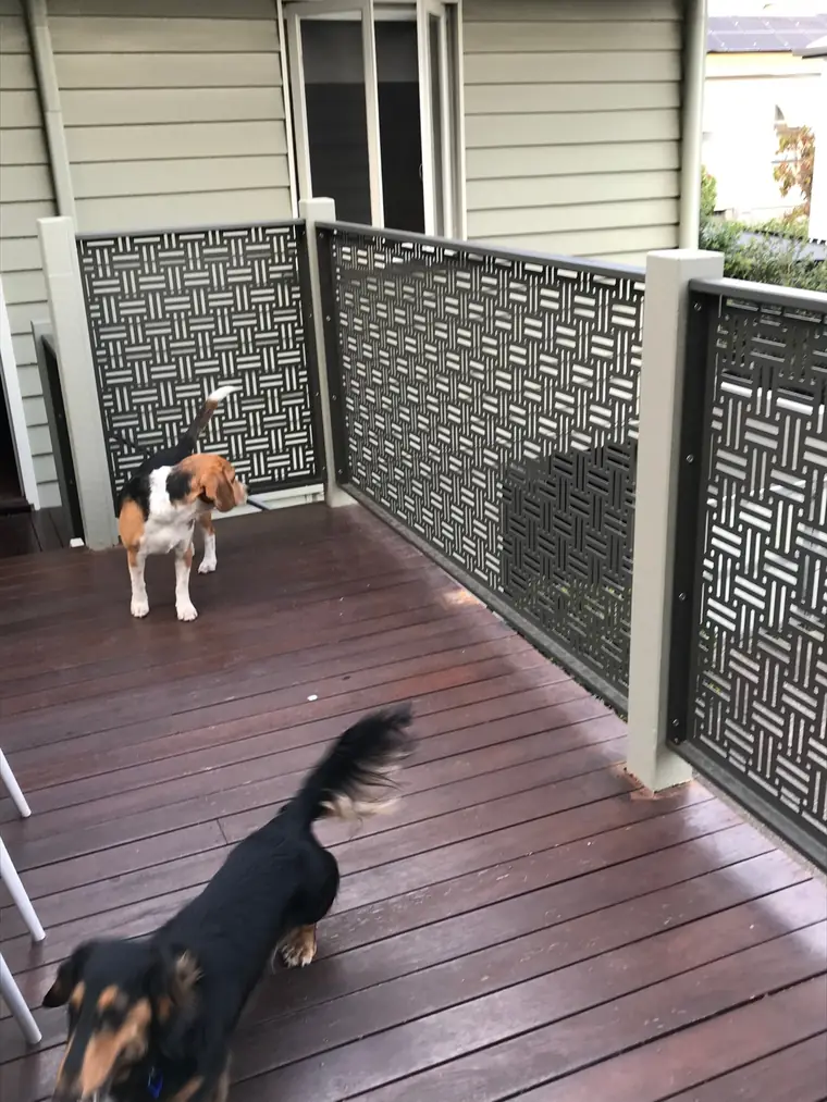 A Weave balustrade around a raised deck. The dogs stay on the deck.