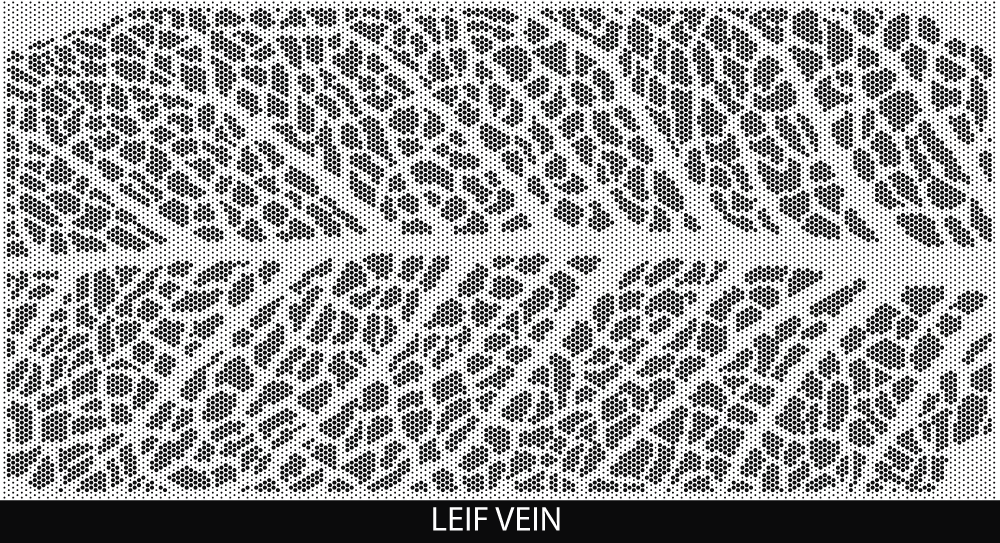 Leaf Vein perforated pool fencing design pattern by Pool Perf
